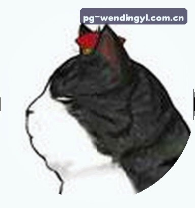 李晨